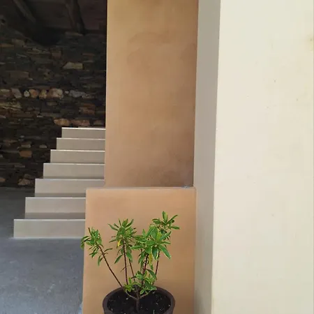 Гостевой дом Casa Perdigueira Кастромайор