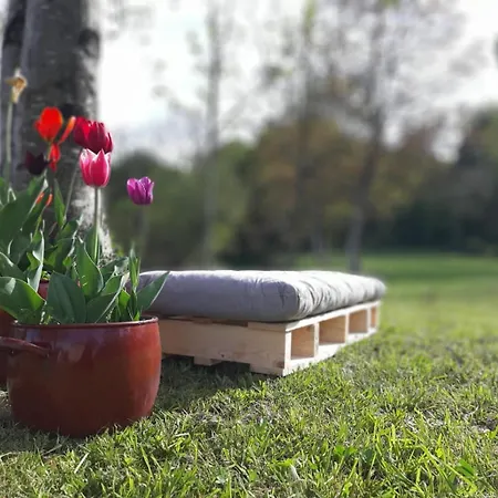 Casa Perdigueira بيت ضيافة *