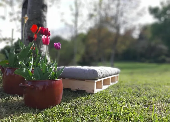 Casa Perdigueira 招待所 *